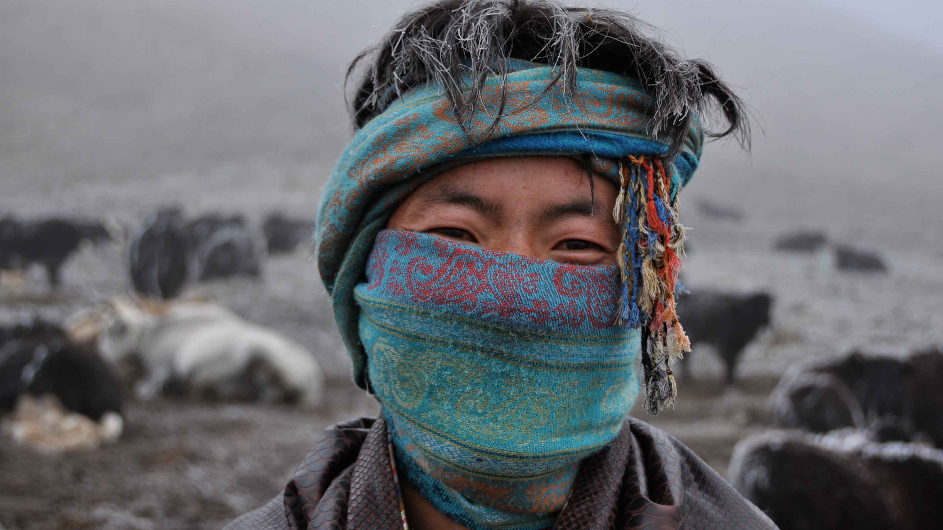 Extrait - Tibet : terre des braves - Geneviève Brault